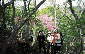 黒檜山「いろとりどりに咲くツツジと大沼の水色」