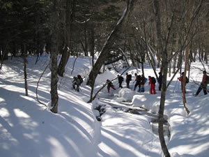 日光戦場ヶ原スノーシューハイキングと温泉